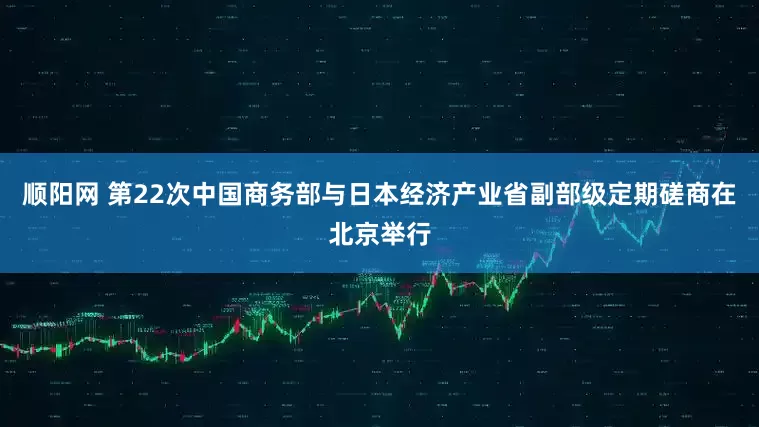 顺阳网 第22次中国商务部与日本经济产业省副部级定期磋商在北京举行
