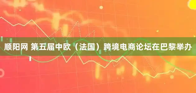 顺阳网 第五届中欧（法国）跨境电商论坛在巴黎举办