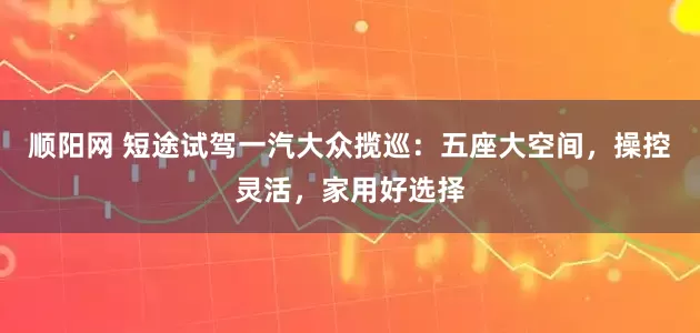 顺阳网 短途试驾一汽大众揽巡：五座大空间，操控灵活，家用好选择