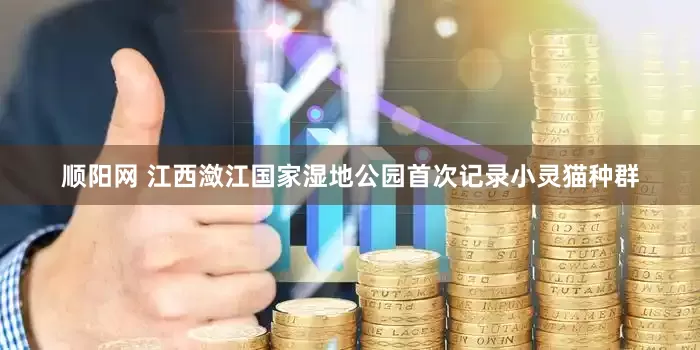 顺阳网 江西潋江国家湿地公园首次记录小灵猫种群