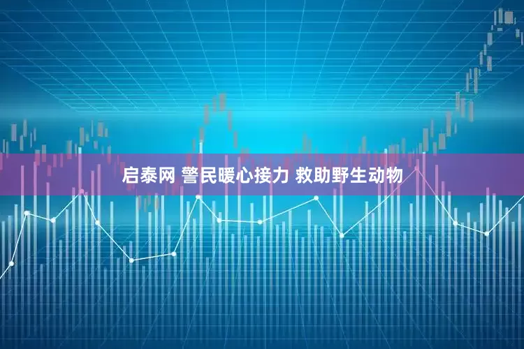 启泰网 警民暖心接力 救助野生动物