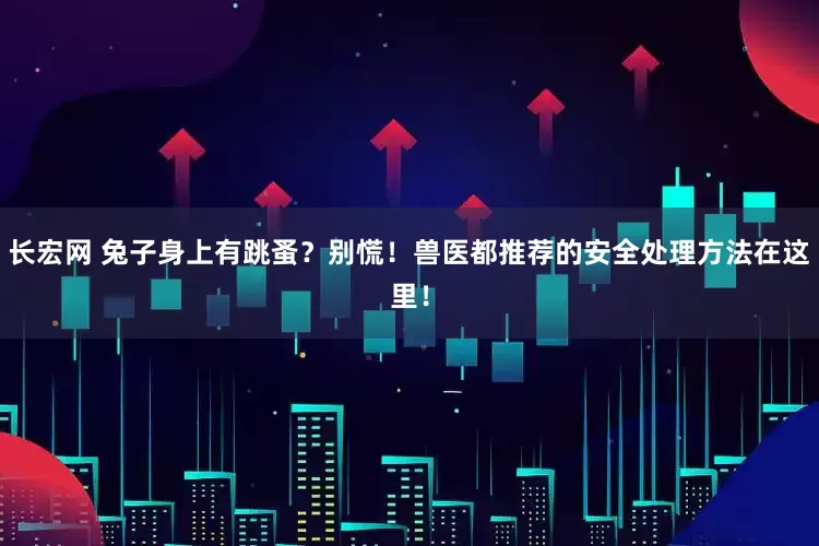 长宏网 兔子身上有跳蚤？别慌！兽医都推荐的安全处理方法在这里！