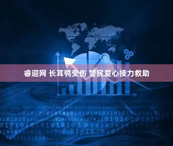 睿迎网 长耳鸮受伤 警民爱心接力救助