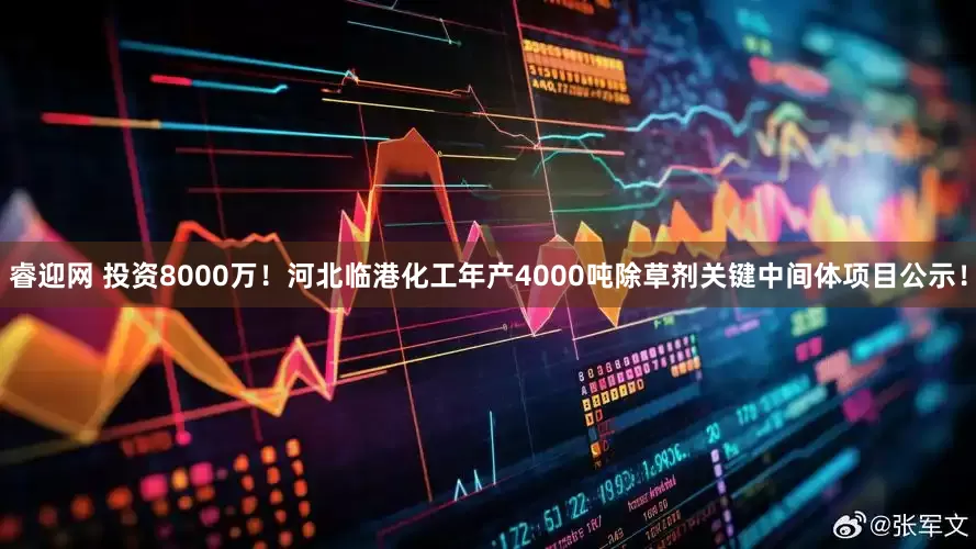 睿迎网 投资8000万！河北临港化工年产4000吨除草剂关键中间体项目公示！